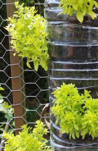 A vertical garden is a good option in a small space