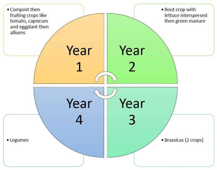 Simple crop rotation - Transition Australia