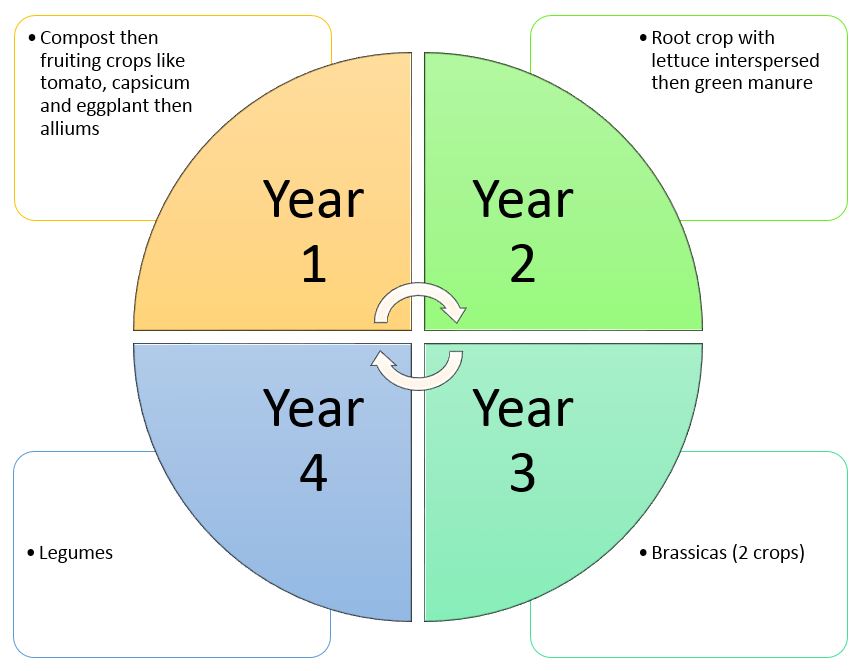 Printable Crop Rotation Chart Printable World Holiday