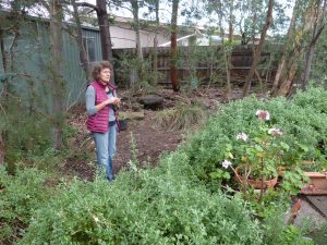 Heather's indigenous garden tour