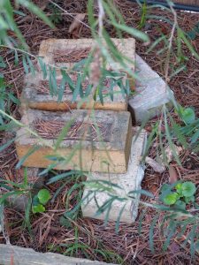 shelter for skinks made from bricks