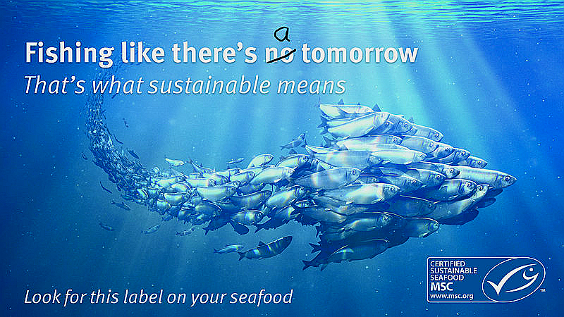fish sustainability