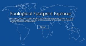 Online Ecological Footprint