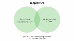 plastics biodegradable explained