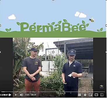 Permabee - Video Archive