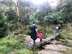 bushwalking at Plenty Gorge