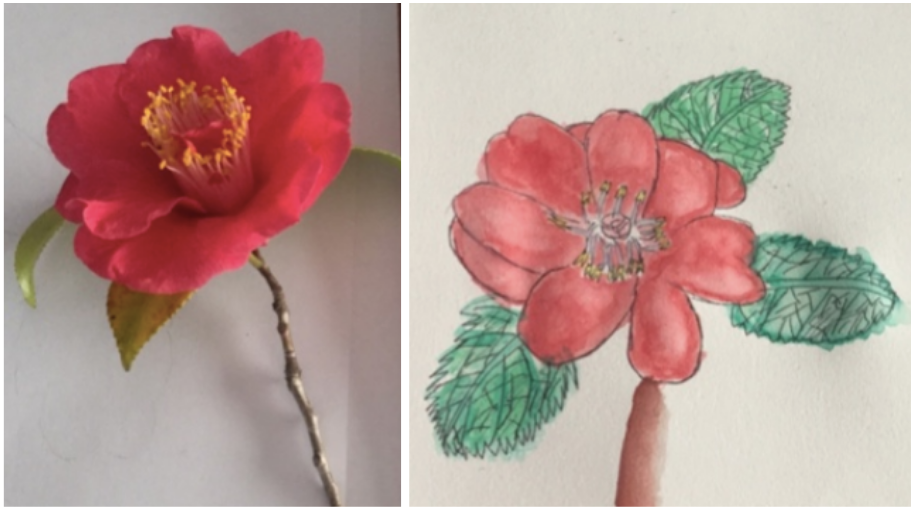 child's drawing of red flower and photo of same flower