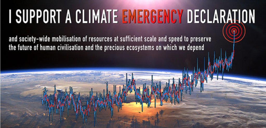 Climate Emergency Action to Restore a Safe Climate