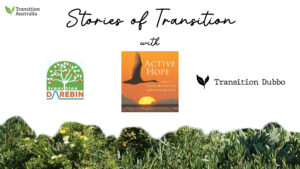Stories of Transition with logos of Transition Darebin, Transition Dubbo, and Active Hope Tas online