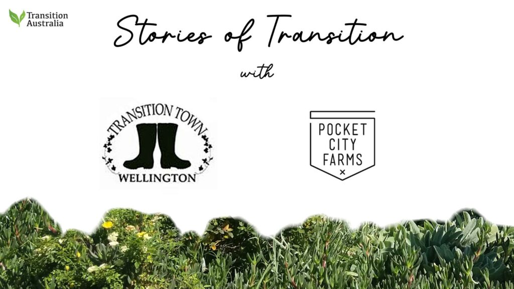 header for Stories of Transition 8 April 2024 with logo of Transition Town Wellington and Pocket City Farms