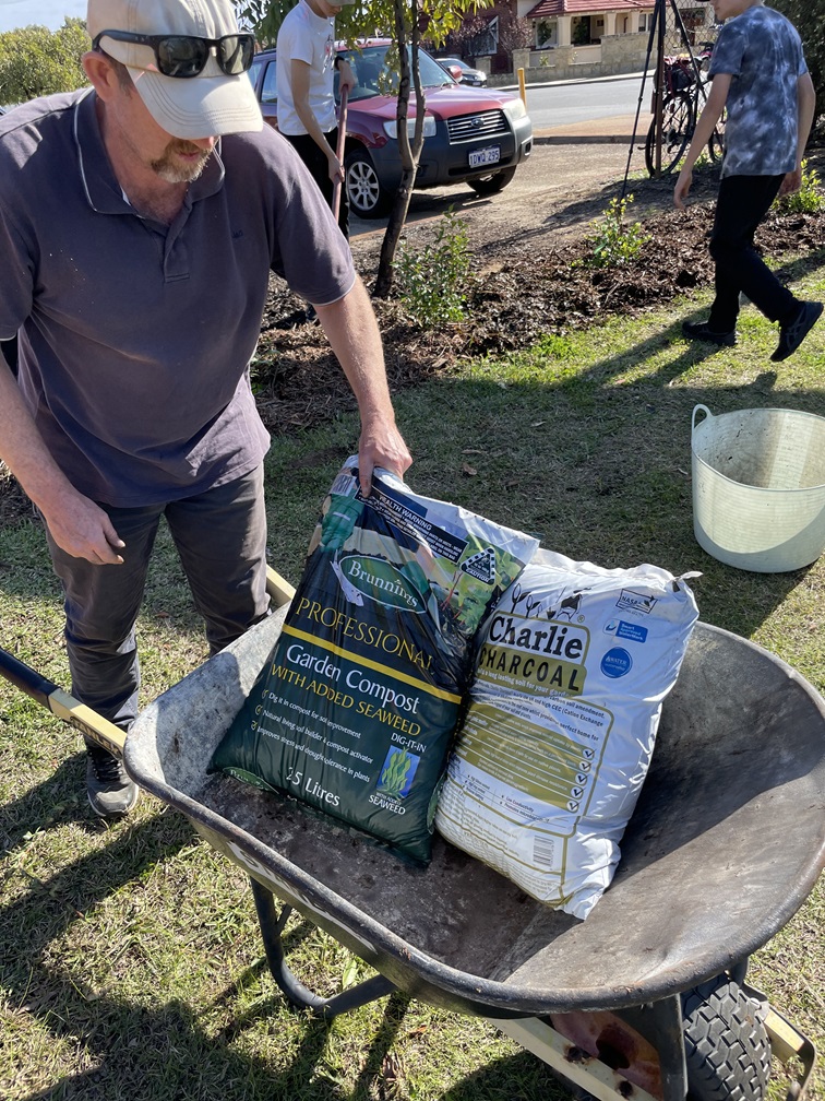 Biochar and FOGO compost were used in the plantings