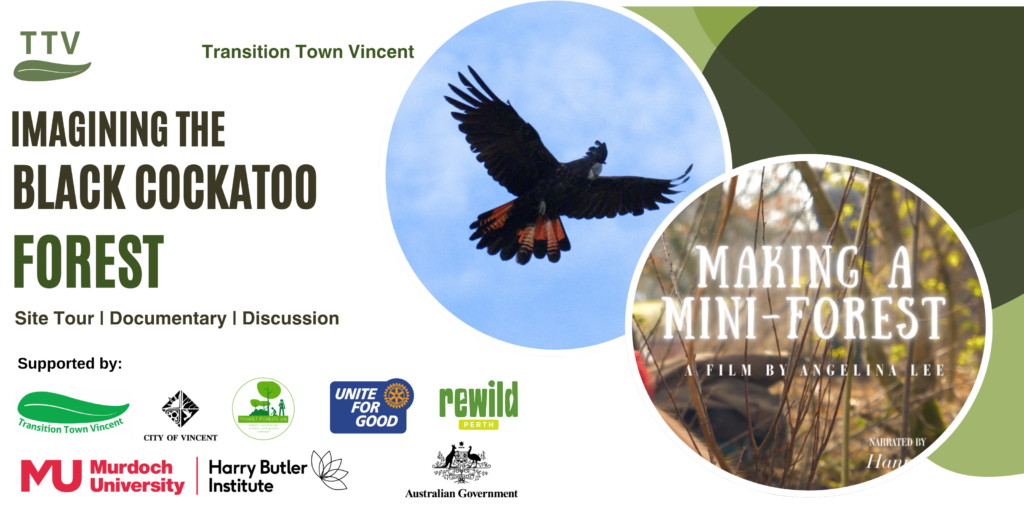 black cockatoo forest