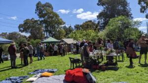 people talking in groups on a grassy space