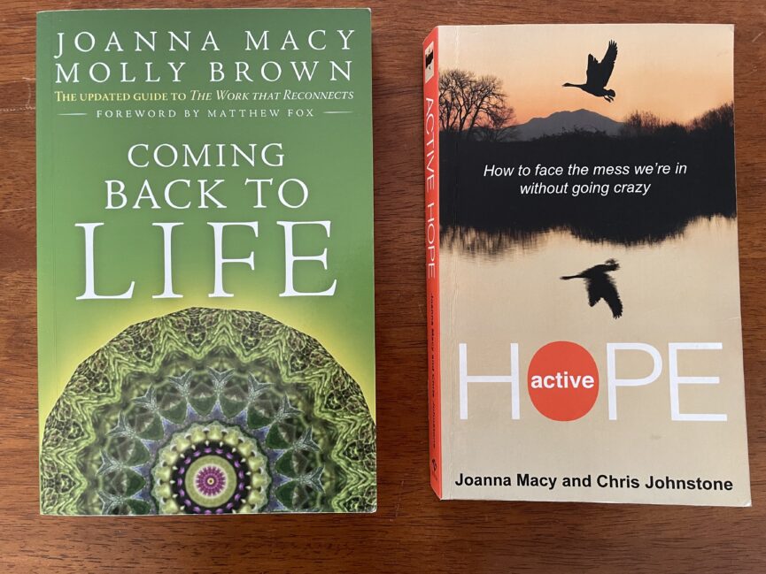 Image of two books: Coming Back to Life and Active Hope