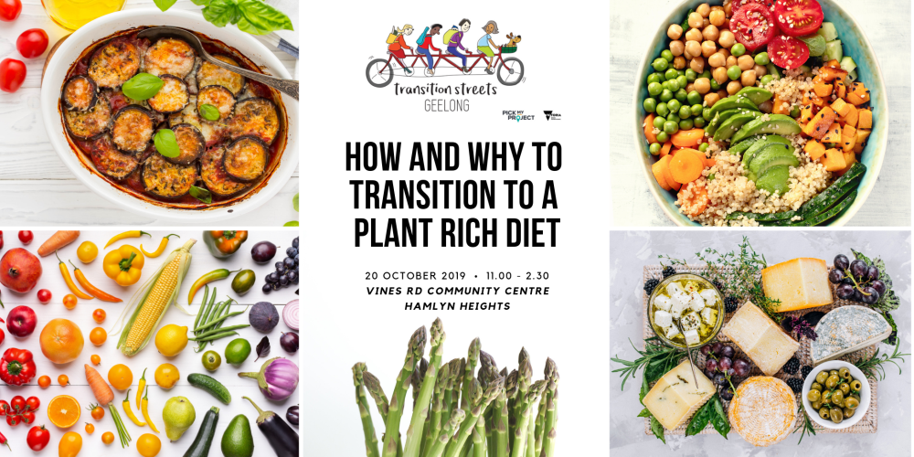 How And Why To Transition To A Plant Based Diet Transition Australia